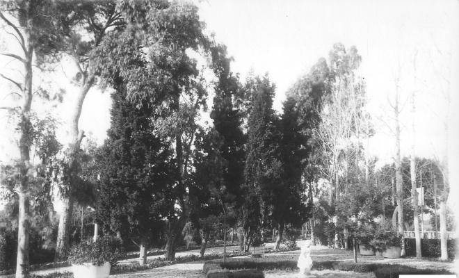 Bassa de Cordelles
