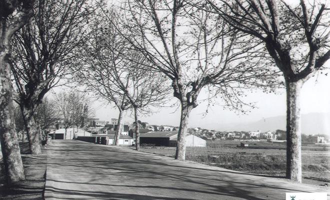 Av. Flor de maig,