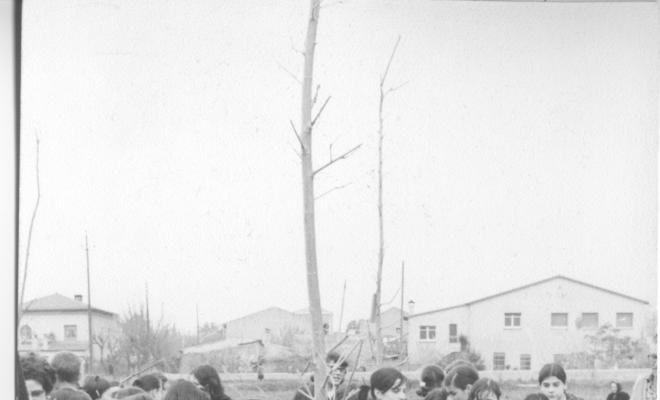 Plantada d'arbres
