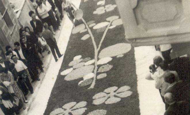 Catifes de flors;Altar troncs i rocalla;Trebol sis fulles;