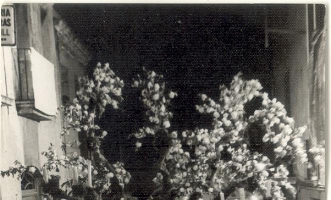 Catifes de flors. Altar arbre i rocalla