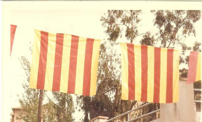 Festa Major. Castells