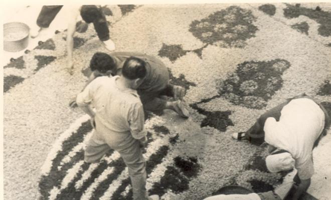 Catifes de flors.