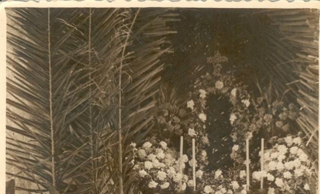 Catifes de flors.