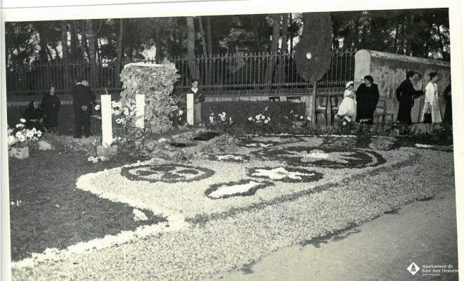 Catifes de flors.