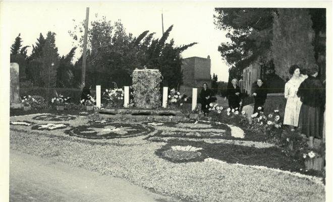 Catifes de flors.