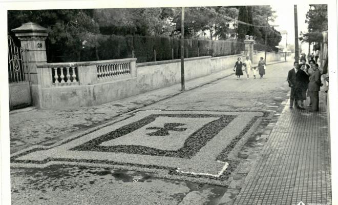 Catifes de flors.