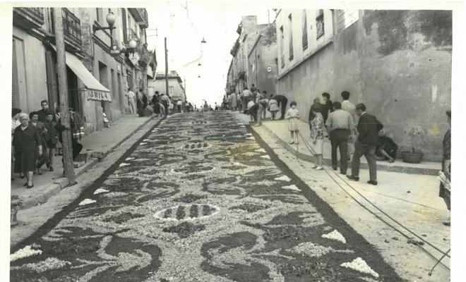 Catifes de flors.