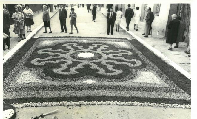 Catifes de flors.