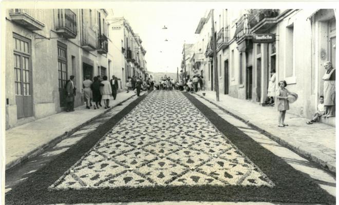 Catifes de flors.