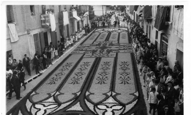Catifes de flors.