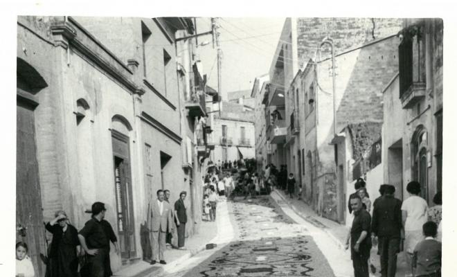 Catifes de flors. Motius geomètrics