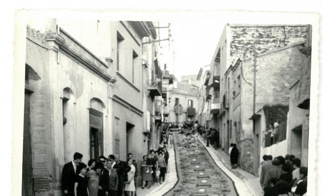 Catifes de flors. Motius geomètrics