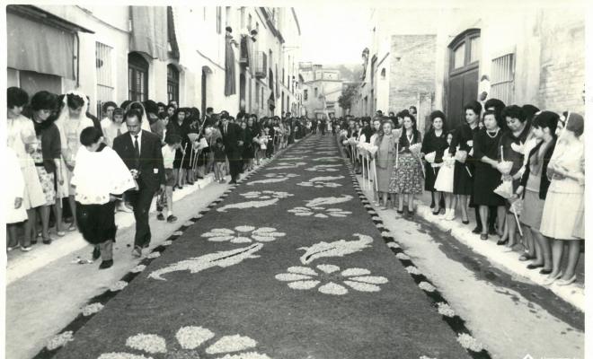 Catifes de flors.