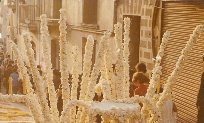 Catifes de flors. Altar tijes dretes
