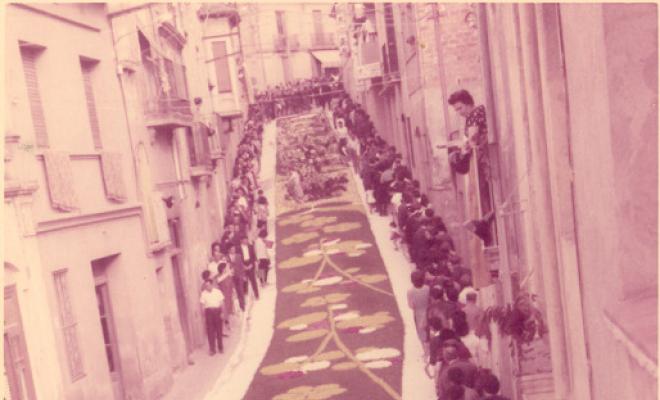 Catifes de flors. Altar arbre i rocalla
