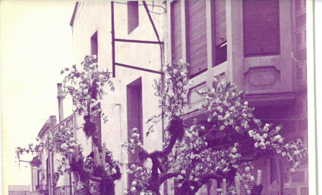 Catifes de flors. Altar arbre i rocalla.