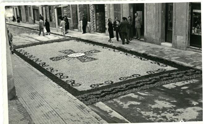 Catifes de flors.