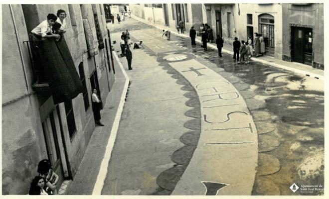 Catifes de flors.