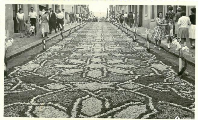 Catifes de flors.