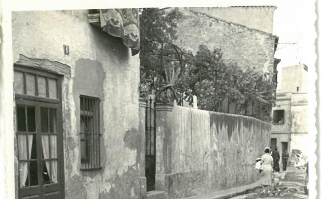 Catifes de flors.