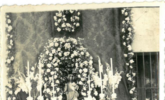 Catifes de flors.