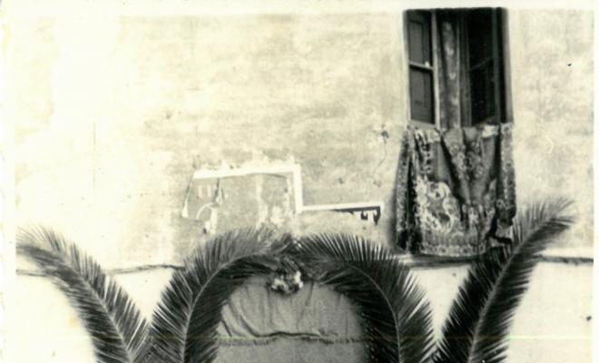 Catifes de flors.