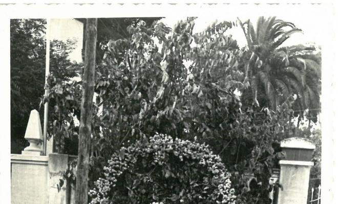 Catifes de flors.