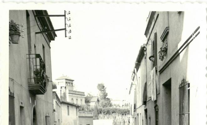 Catifes de flors.