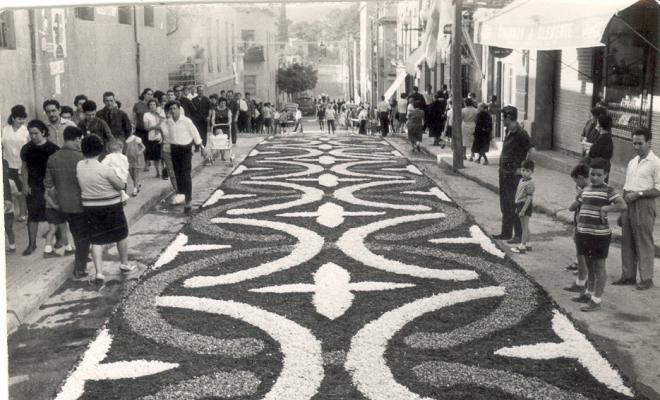 Catifes de flors.