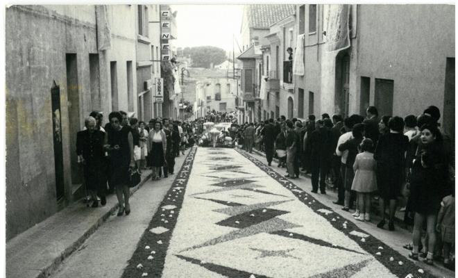 Catifes de flors. Altar bolets. 