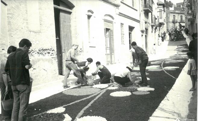 Catifes de flors. Altar troncs i rocalla. Preparatius