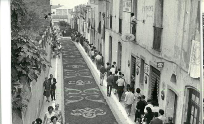 Catifes de flors. Preparatius