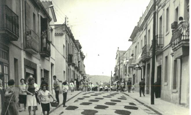 Catifes de flors. Preparatius
