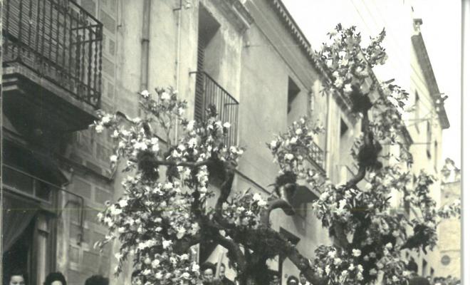 Catifes de flors. Altar troncs i rocalla. 