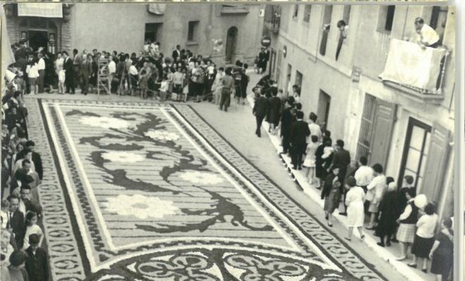 Catifes de flors. Preparatius