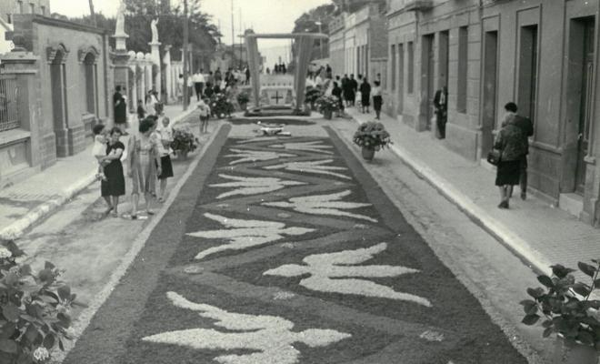 Catifes de flors;Preparatius