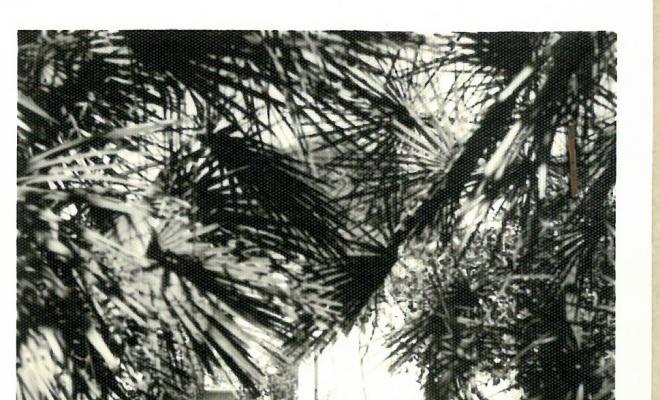 Reportatge fotogràfic del Cadastre d'Urbana del 1973