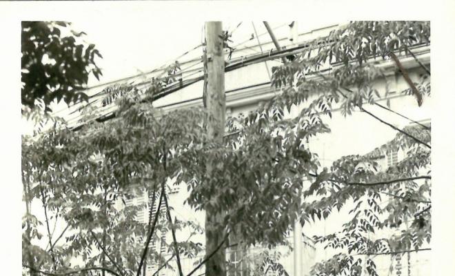 Reportatge fotogràfic del Cadastre d'Urbana del 1973