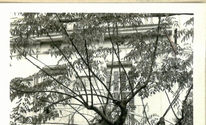 Reportatge fotogràfic del Cadastre d'Urbana del 1973