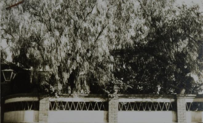Reportatge fotogràfic del Cadastre d'Urbana del 1973