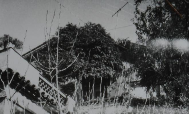 Reportatge fotogràfic del Cadastre d'Urbana del 1973