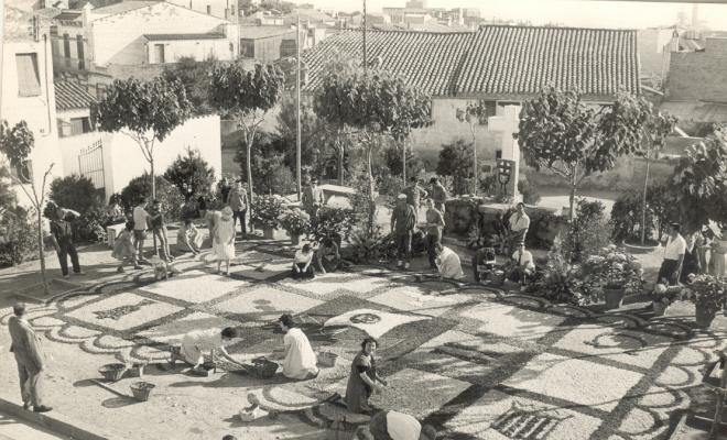 Catifes de flors. Escuts