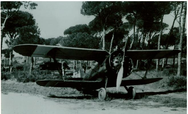 Avió de caça Polikarpov I-15 (Mosca) de l'Aeròdrom 329