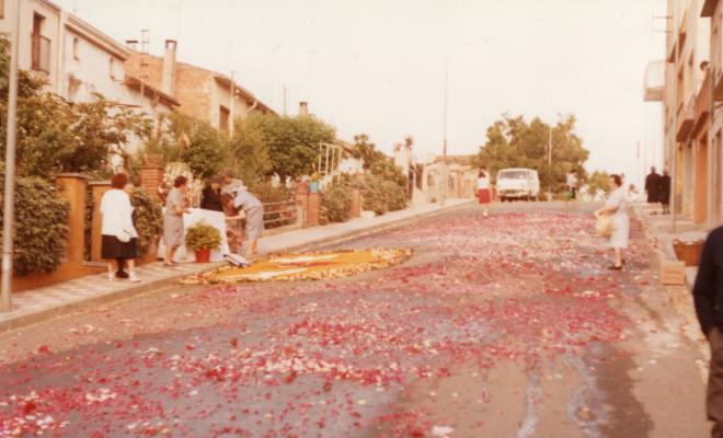 Desmuntant les catifes de flors a les festes del Corpus Christi
