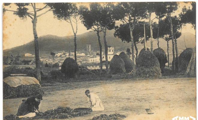 Paisatge de Montornès del Vallès