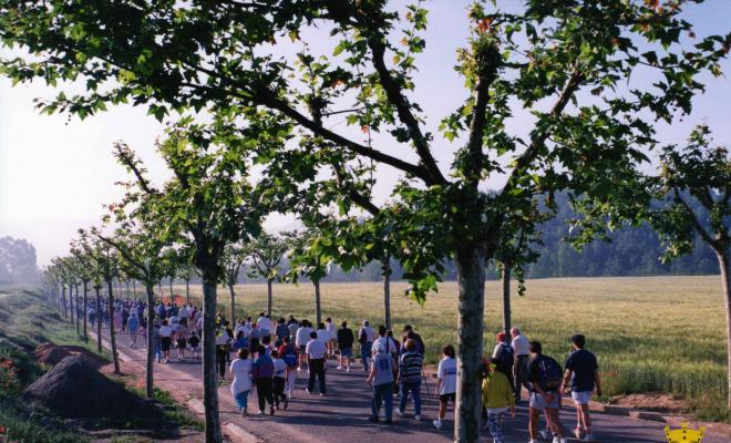 VIII Caminada pels llocs Verdaguerians. Passeig dels Plataners, continuació del carrer de la Rambla direcció a la carretera de Vilanova de Sau