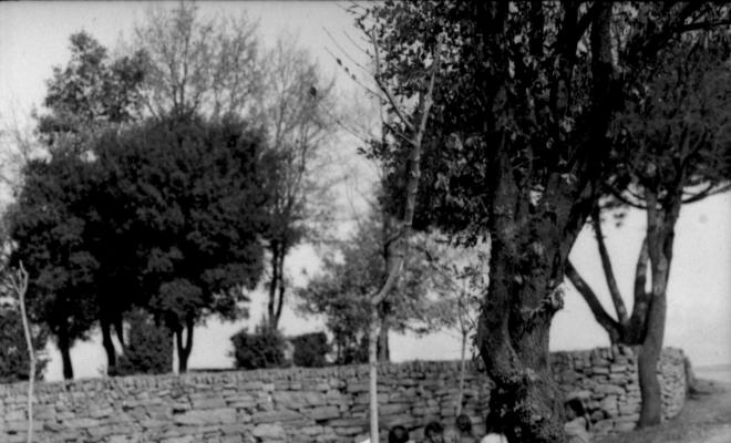 Indrets ruta Verdagueriana. Plantada d'arbres a l'entorn de l'ermita de la Damunt