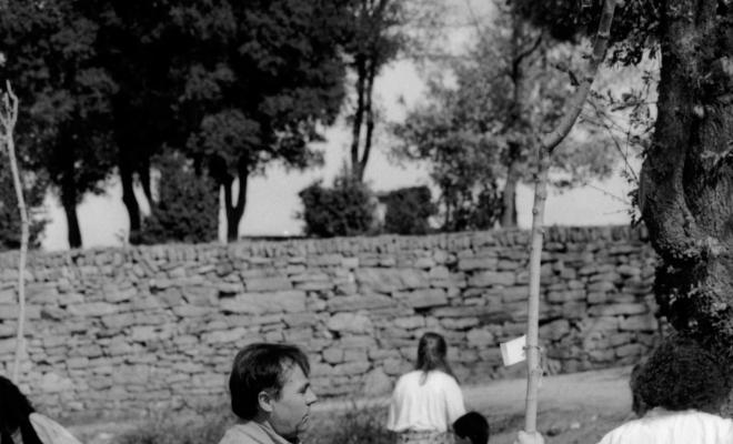 Indrets ruta Verdagueriana. Plantada d'arbres a l'entorn de l'ermita de la Damunt