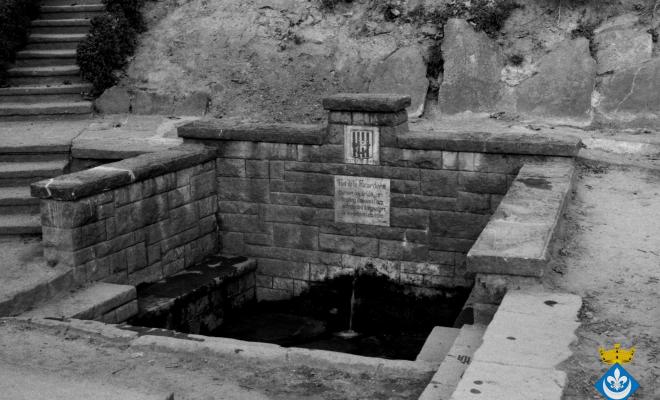 Font de la Ricardera
